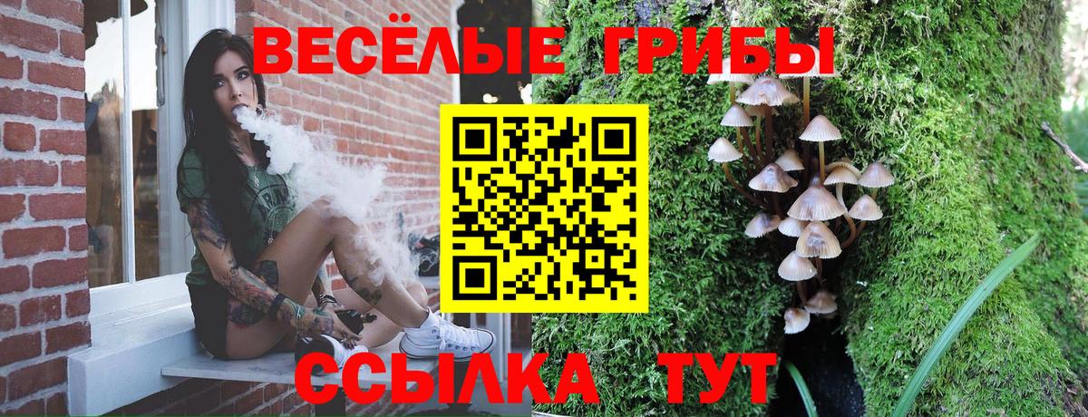 Видное  Галлюциногенные грибы MAGIC MUSHROOMS  Вход с VPN 