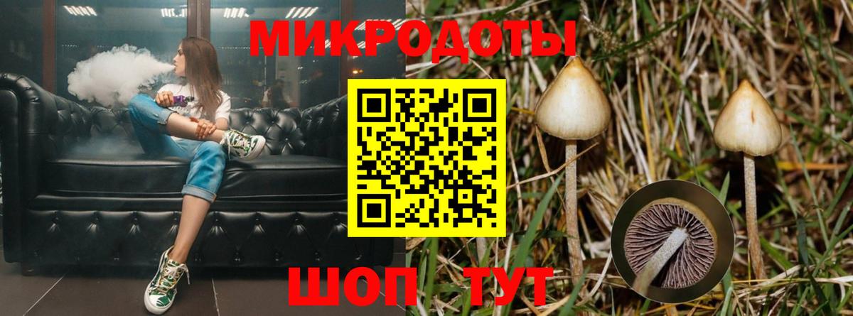 Галлюциногенные грибы Psilocybine cubensis Видное